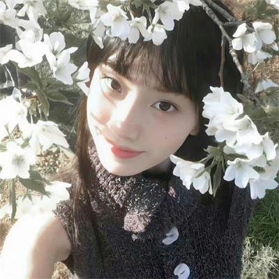我的师兄太强了